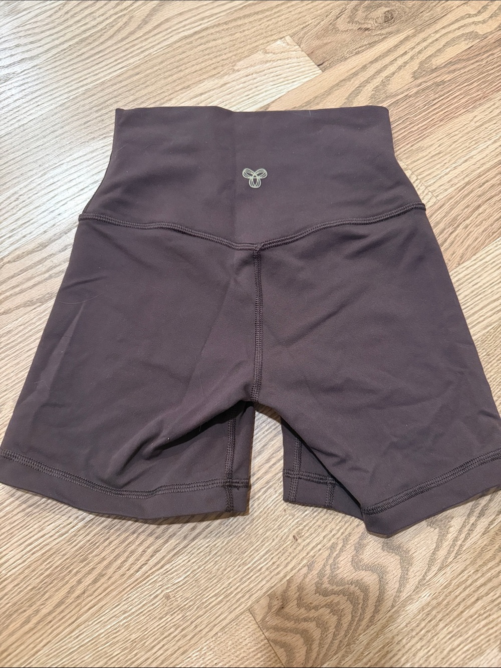 Aritzia Bike Shorts 0